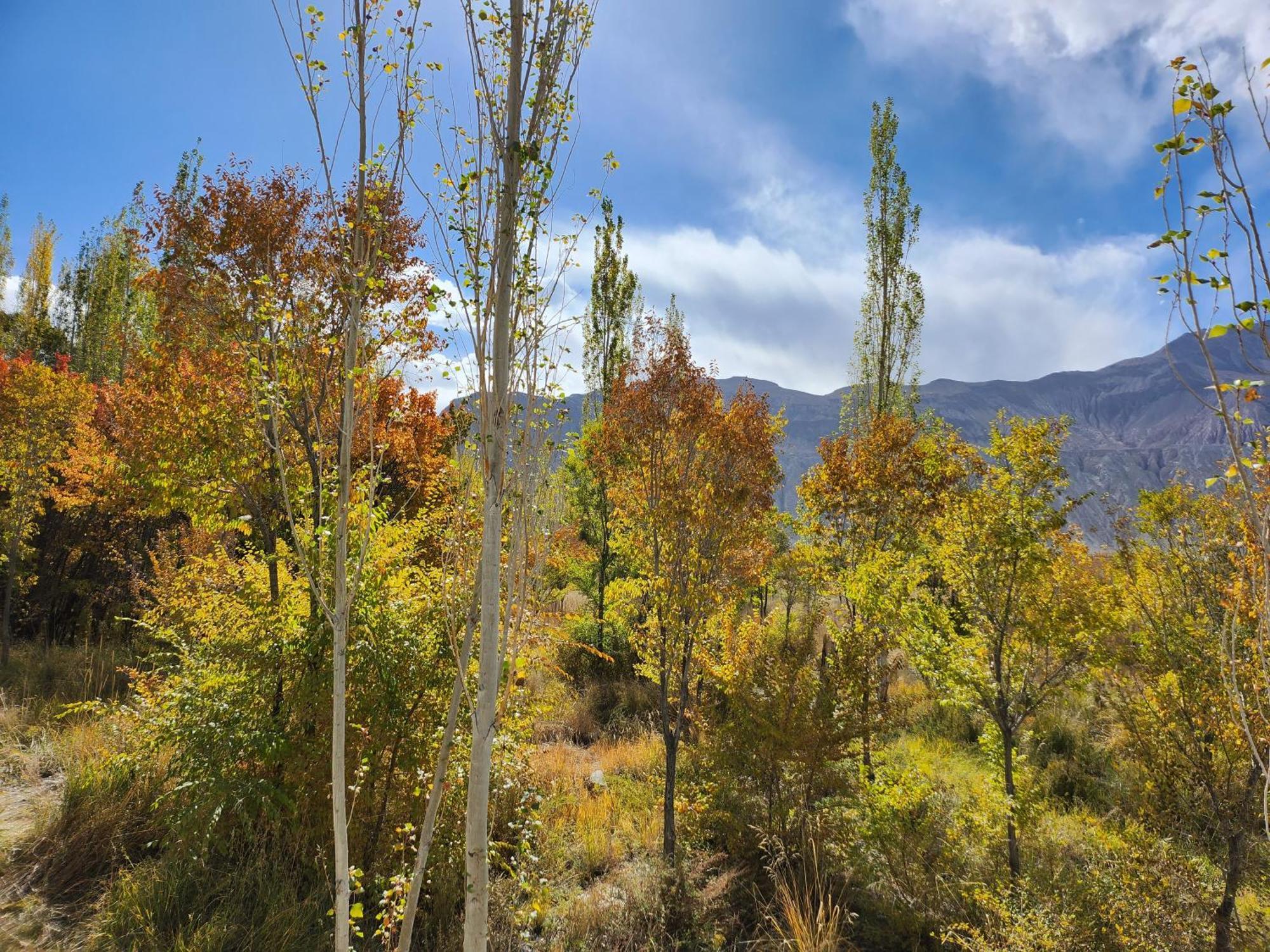 Lharimo Hotel Leh - Ladakh Εξωτερικό φωτογραφία