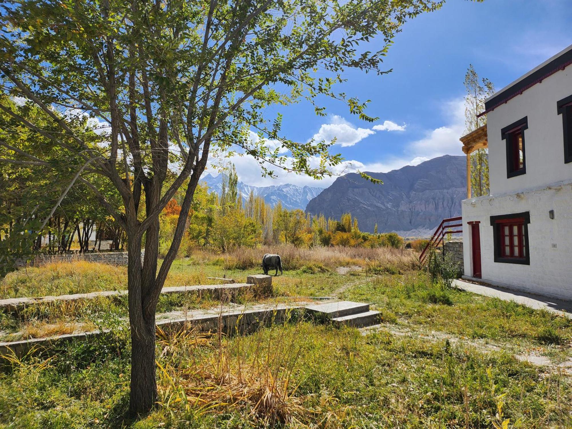 Lharimo Hotel Leh - Ladakh Εξωτερικό φωτογραφία