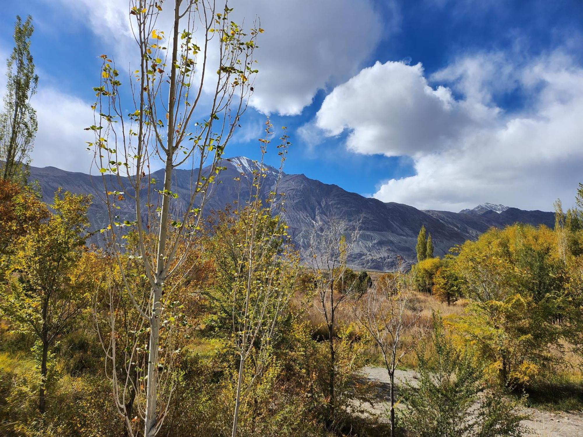 Lharimo Hotel Leh - Ladakh Εξωτερικό φωτογραφία