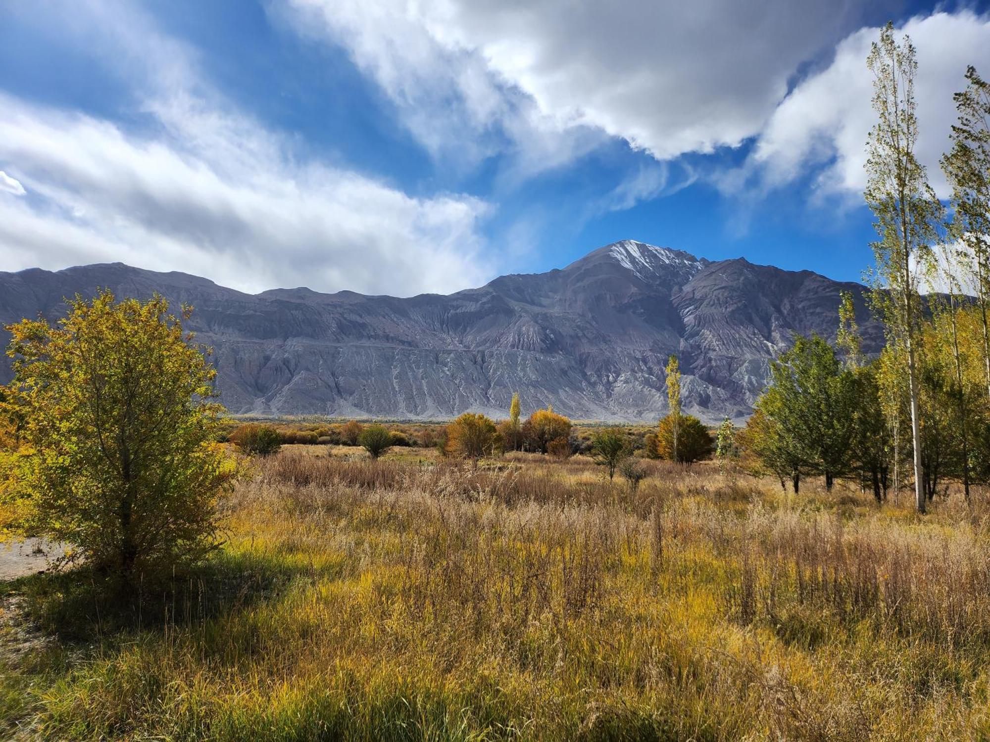 Lharimo Hotel Leh - Ladakh Εξωτερικό φωτογραφία