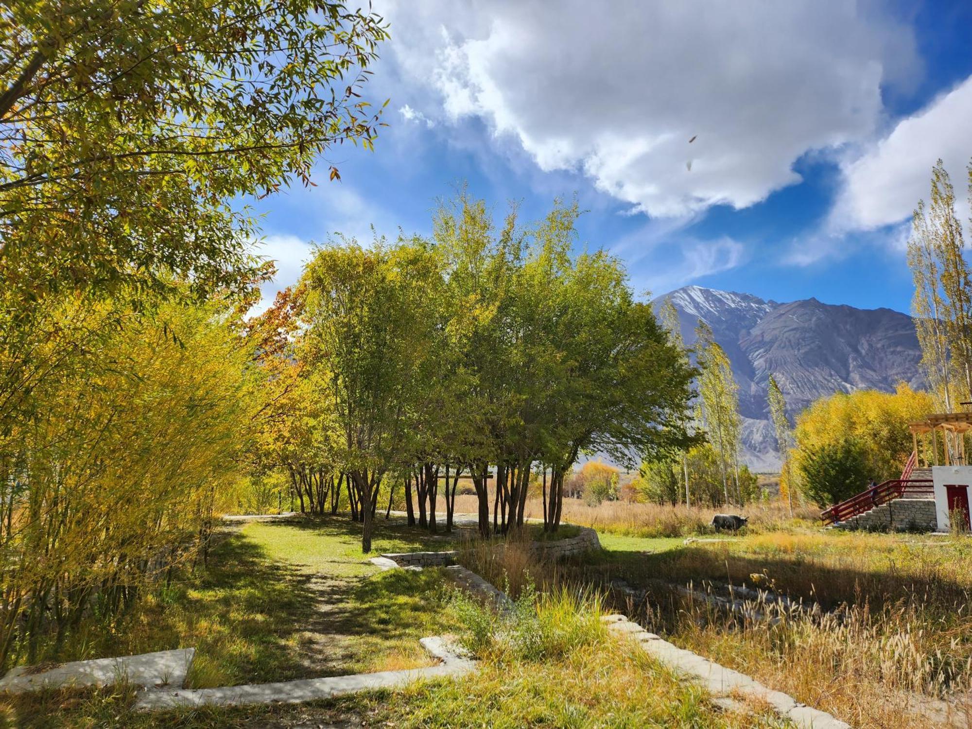 Lharimo Hotel Leh - Ladakh Εξωτερικό φωτογραφία