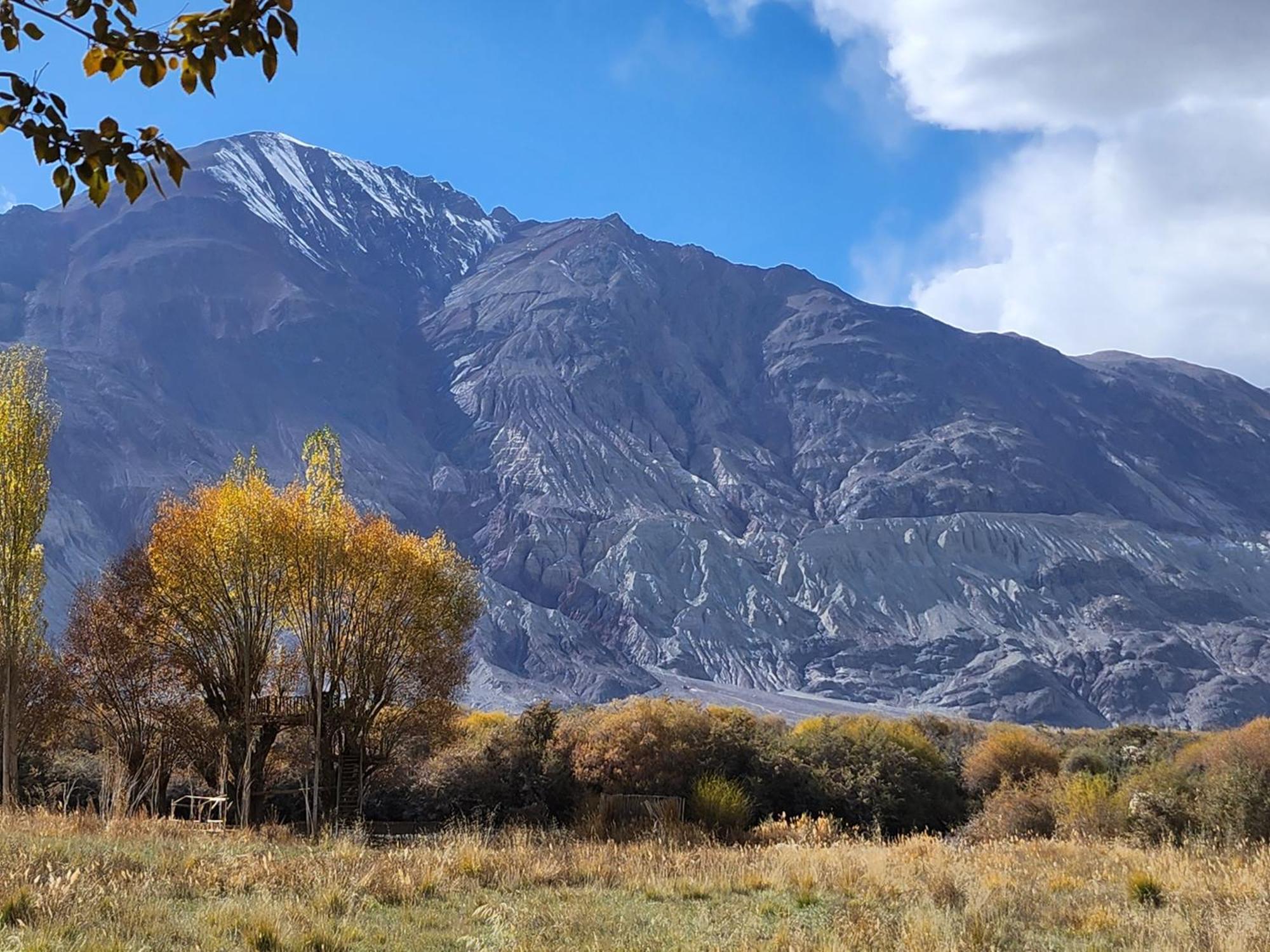 Lharimo Hotel Leh - Ladakh Εξωτερικό φωτογραφία