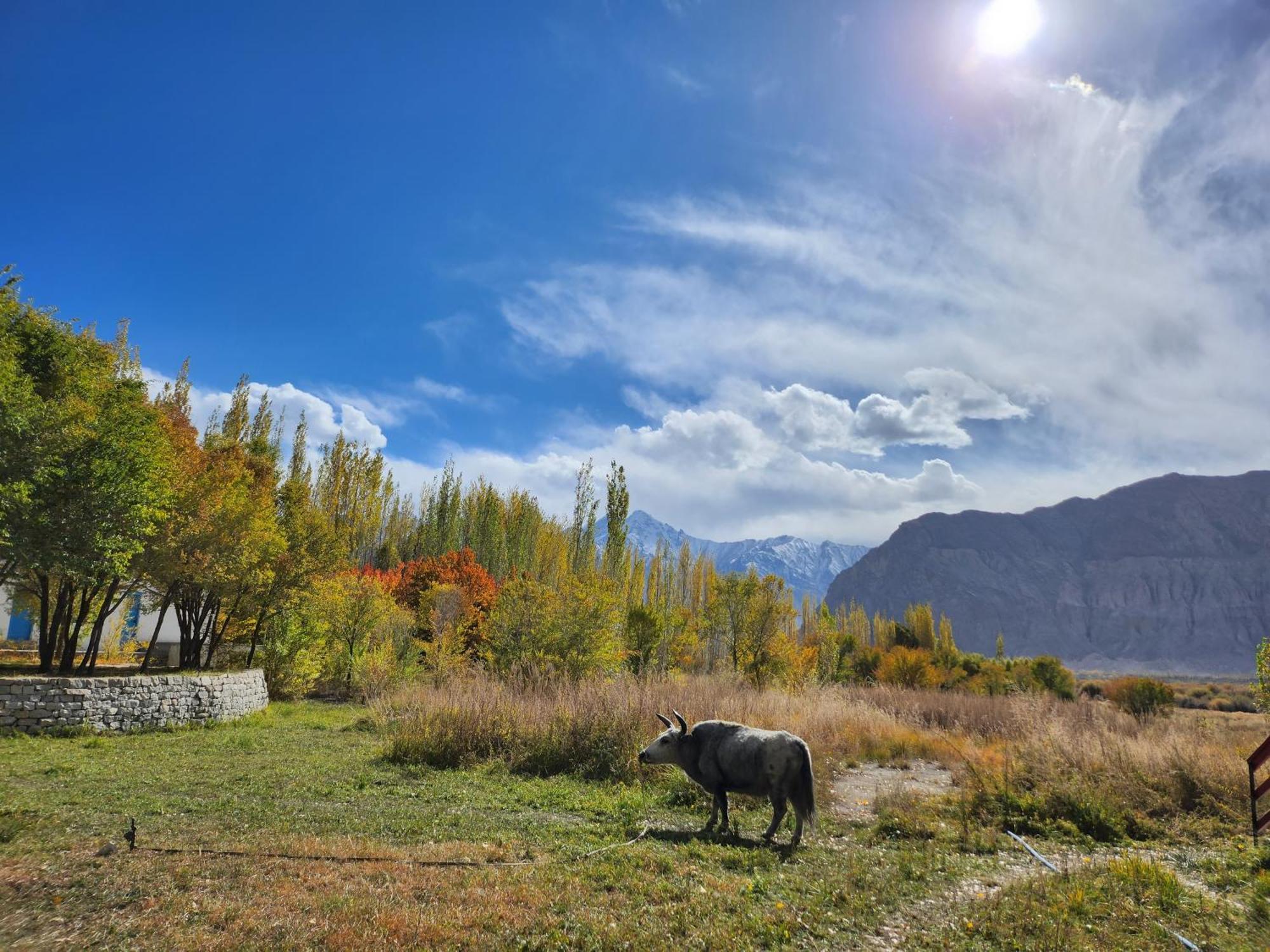 Lharimo Hotel Leh - Ladakh Εξωτερικό φωτογραφία