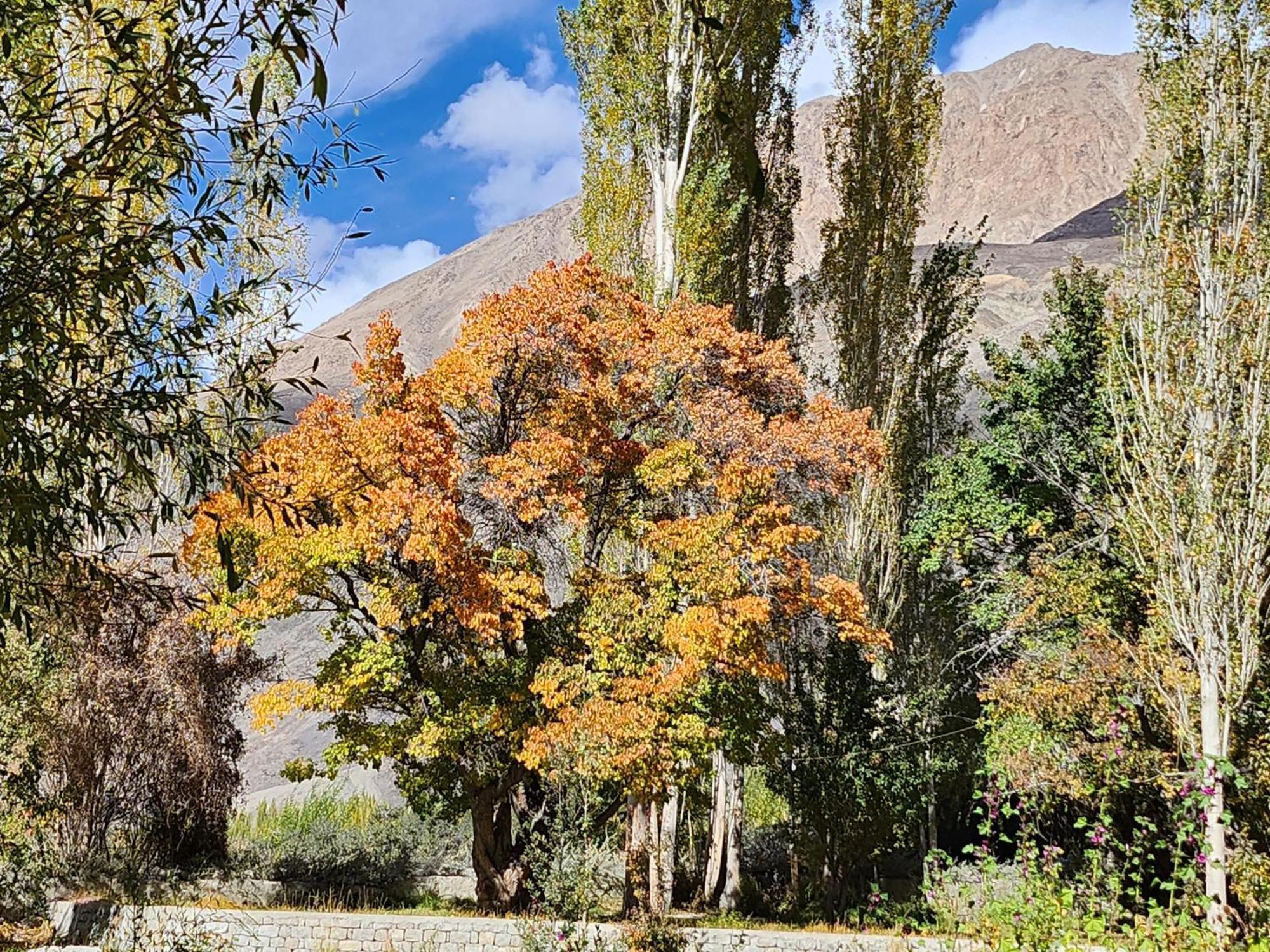 Lharimo Hotel Leh - Ladakh Εξωτερικό φωτογραφία