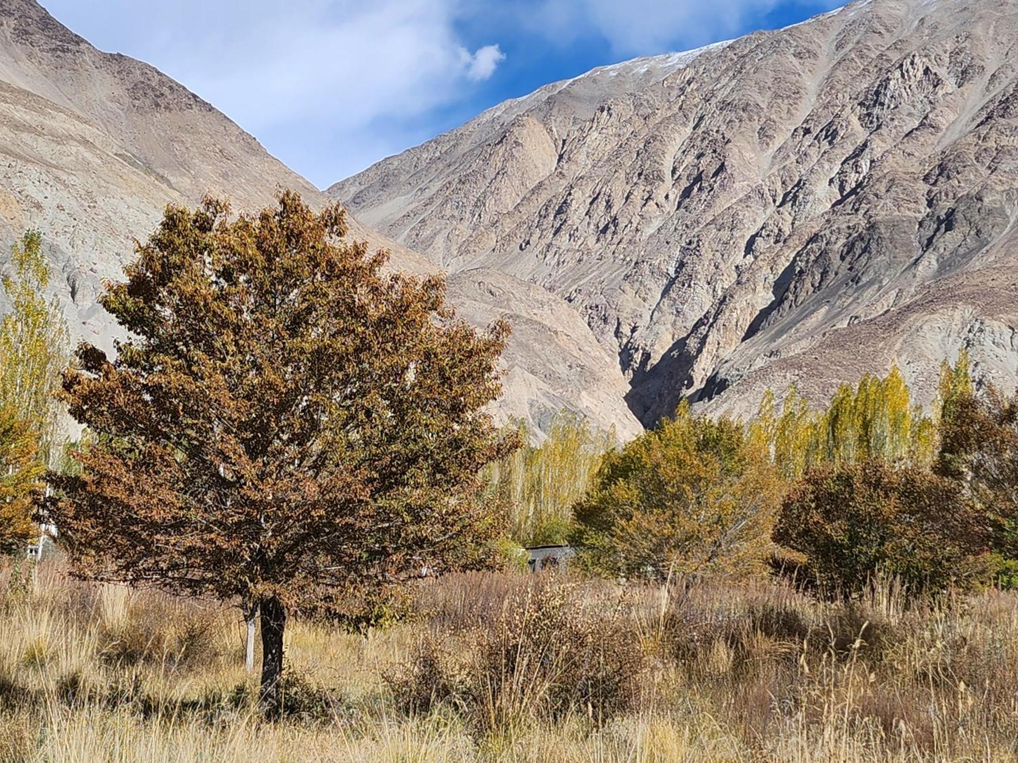 Lharimo Hotel Leh - Ladakh Εξωτερικό φωτογραφία